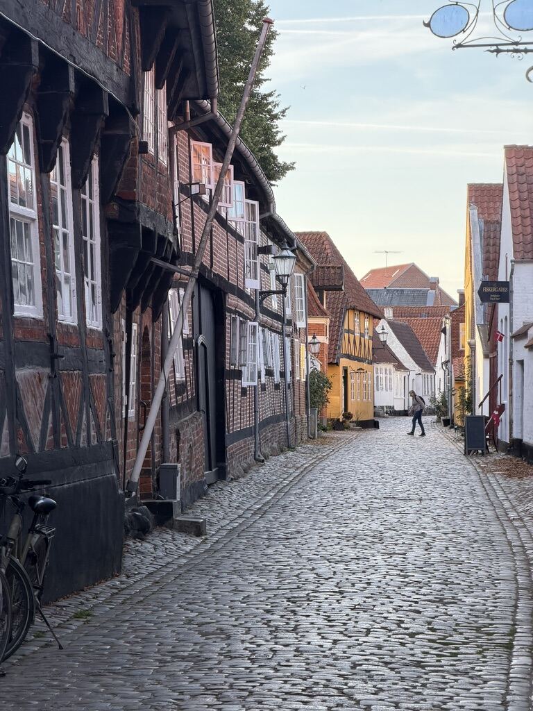 Calle empedrada de Odense con casas de entramado